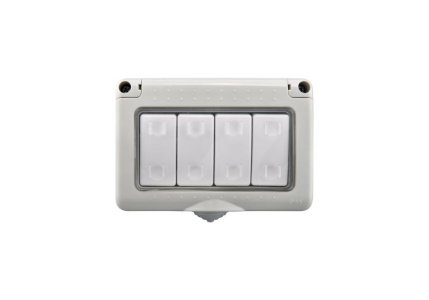 D/FS-1GS Series W/P Switches Modi